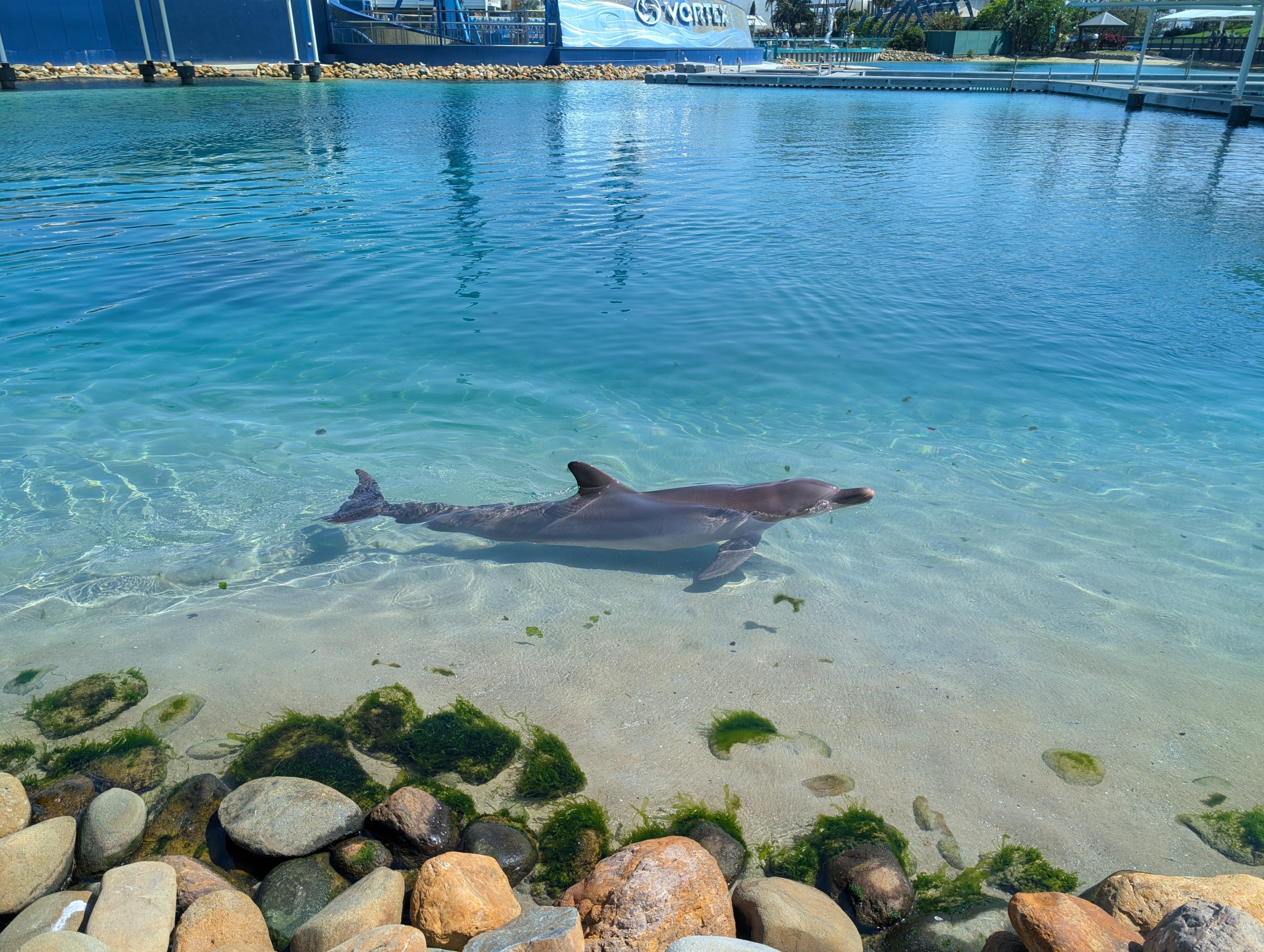 Sea World animal habitat